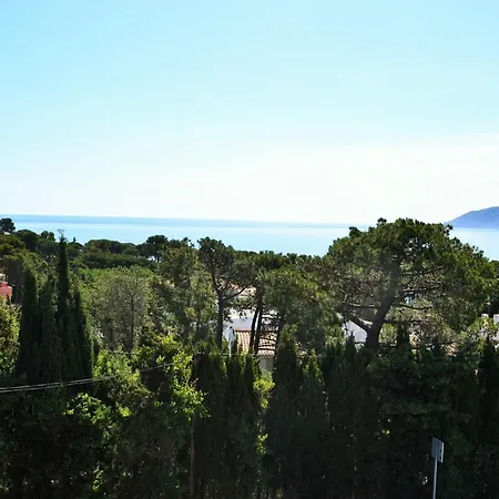 Farella 1